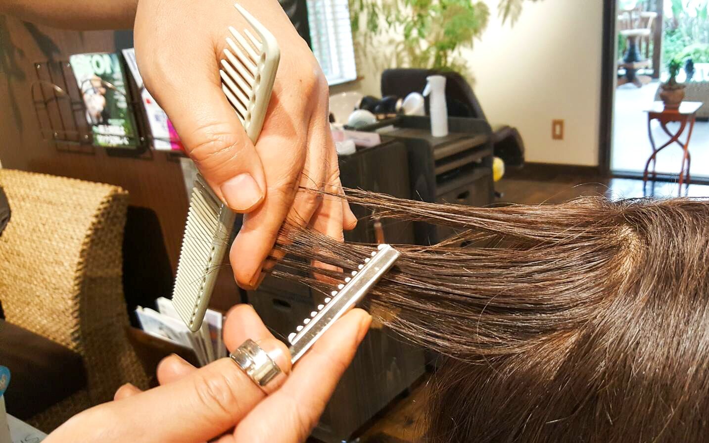 Salon遊の思い